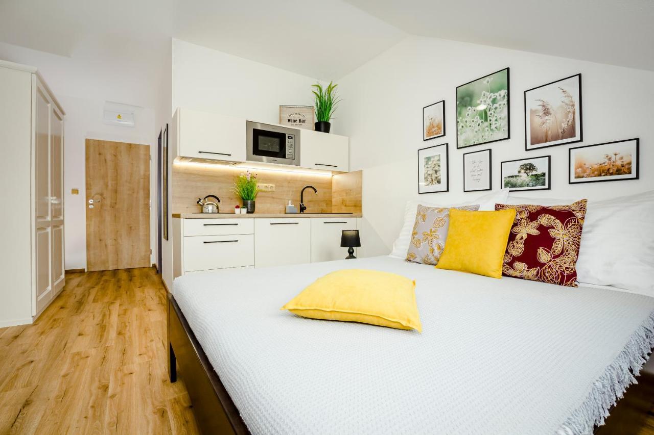 Benesovka Apartment Vacov Екстериор снимка