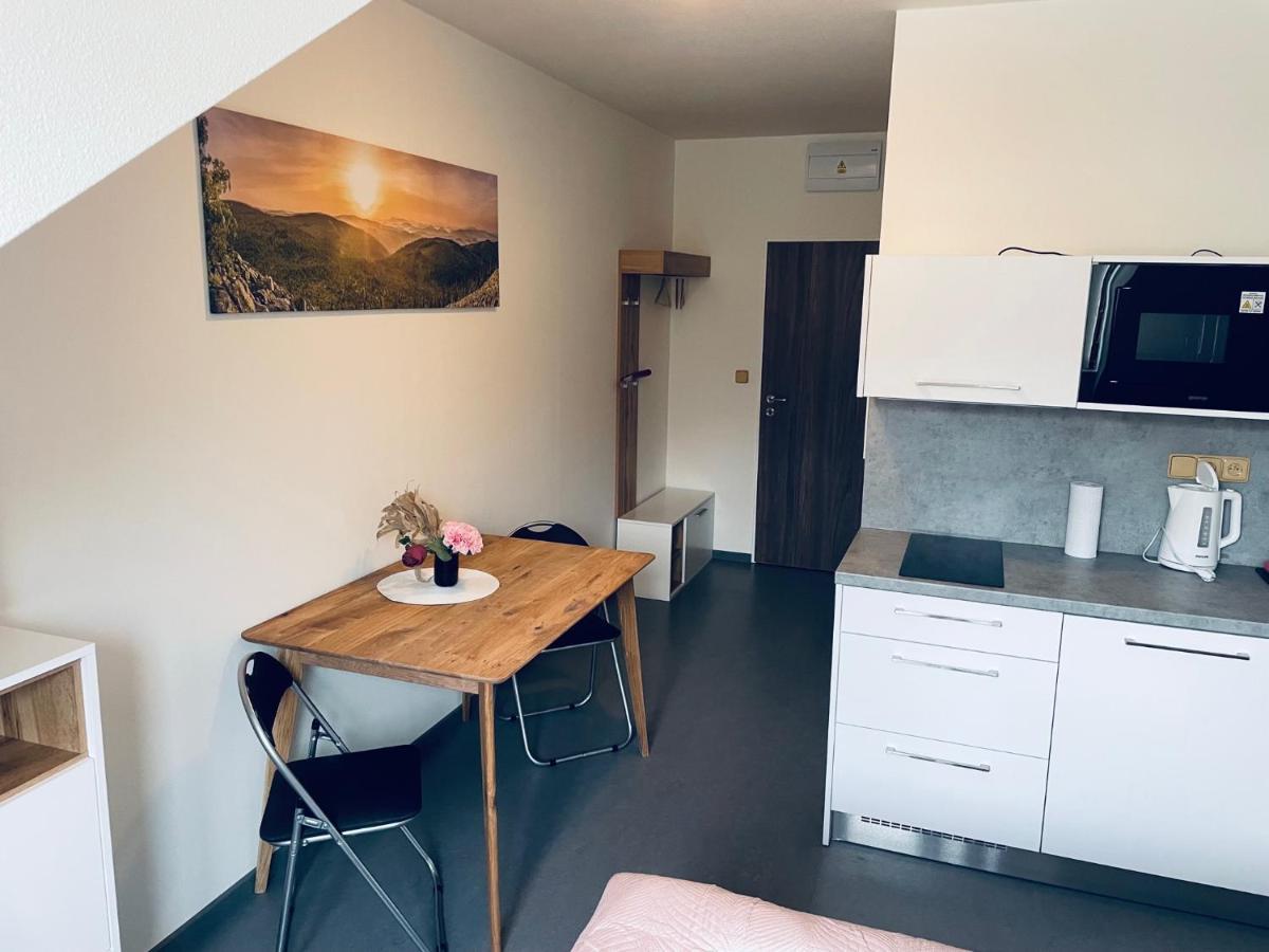 Benesovka Apartment Vacov Екстериор снимка