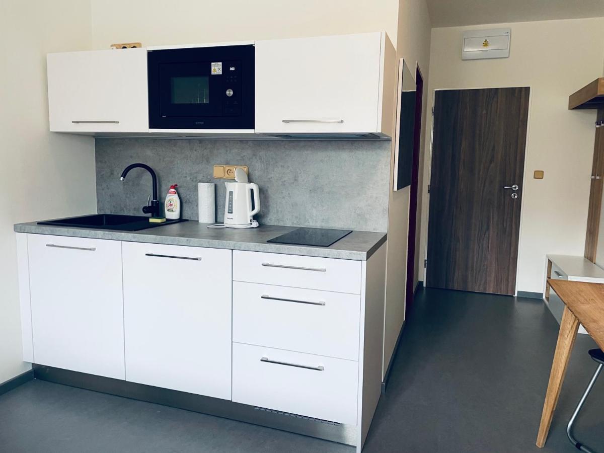 Benesovka Apartment Vacov Екстериор снимка