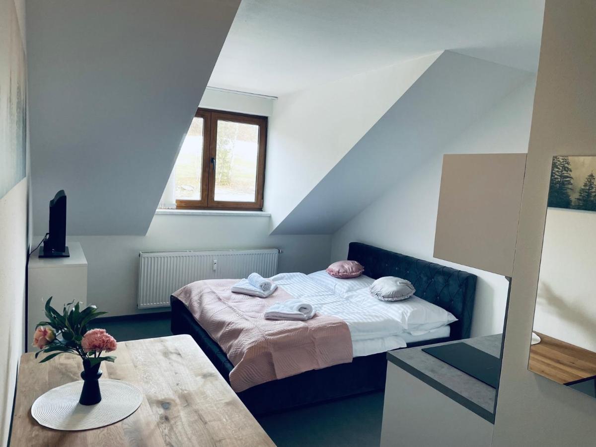 Benesovka Apartment Vacov Екстериор снимка