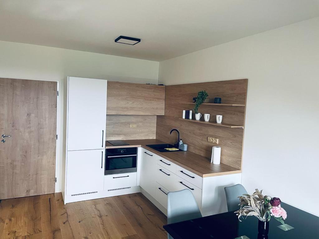 Benesovka Apartment Vacov Екстериор снимка